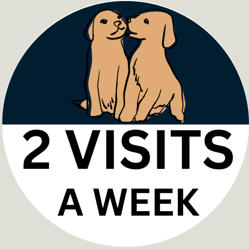 2+ Dogs Regular