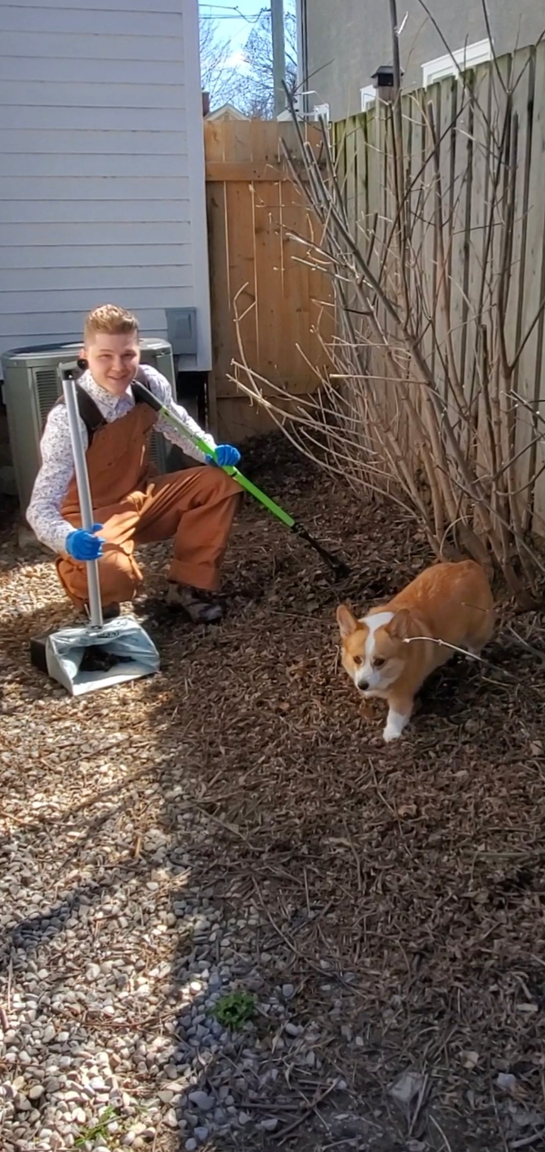 Dog Poop Removal | St. Catharines, Thorold, Niagara